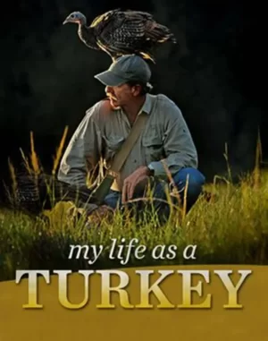 我的火鸡生活海报