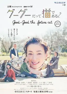 咕咕是一只猫第二季海报