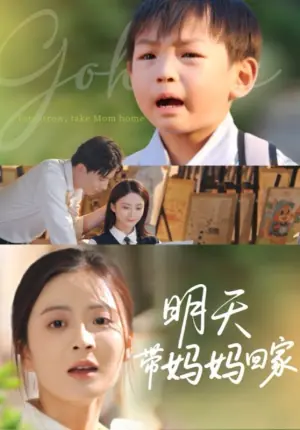 明天带妈妈回家海报