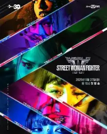 世界街头女斗士第三季海报