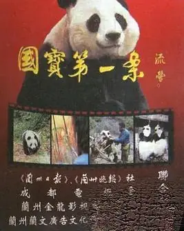 国宝第一案海报