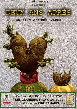 艾格妮捡风景:两年后海报