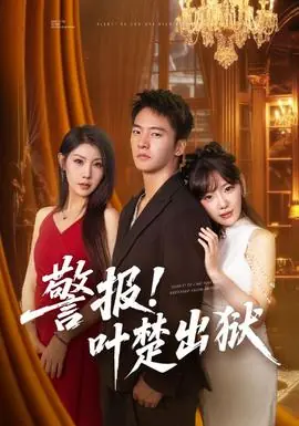 警报!叶楚出狱海报