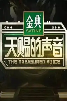 天赐的声音海报