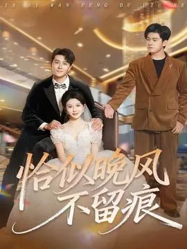 恰似晚风不留痕海报