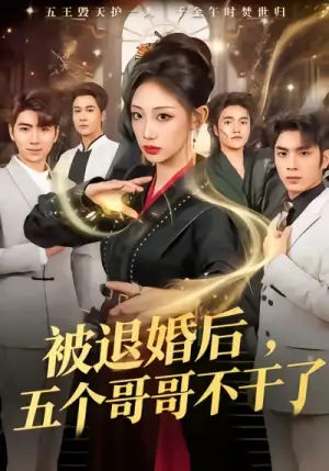 被退婚后,五个哥哥不干了海报