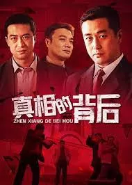 真相的背后海报