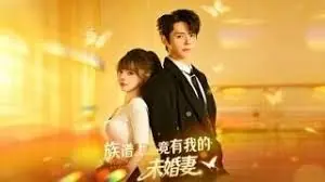 族谱上竟有我的未婚妻海报
