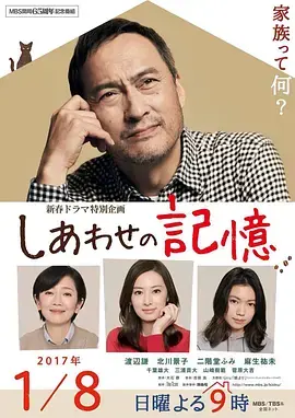 幸福的记忆海报