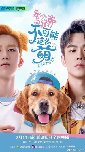 我的兄弟不可能这么萌海报