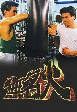 无名火(国语)海报