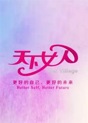 天下女人2011海报