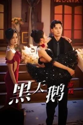 黑天鹅游戏海报