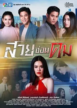 美里藏针[电影解说]海报