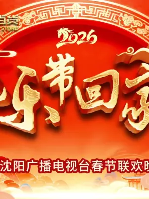 2026把乐带回家沈视春晚海报