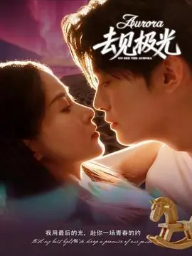 去见极光海报
