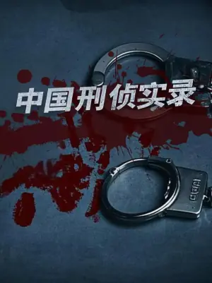 中国刑侦实录第一季海报