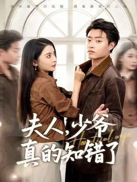 夫人,少爷真的知错了海报