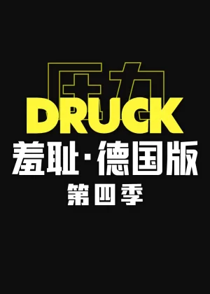 羞耻(德国版)第四季海报