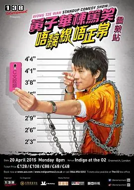 唔痴线唔正常海报