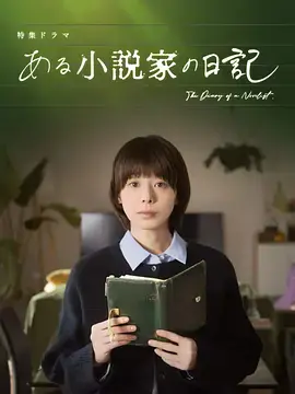 某小说家的日记海报