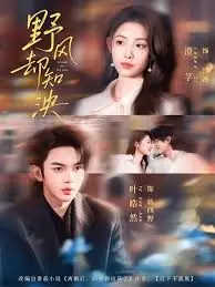 野风却知泱海报