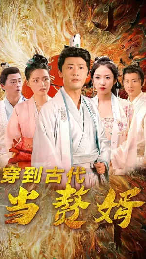 穿到古代当赘婿海报