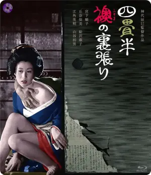 欢场春梦海报