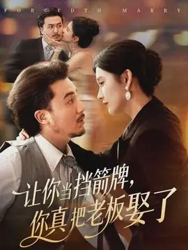 让你当挡箭牌,你真把老板娶了海报