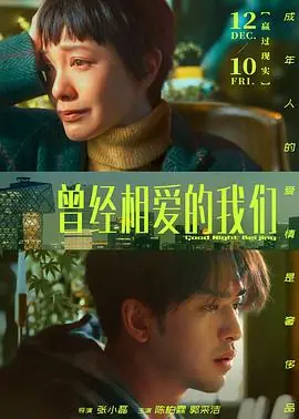 爱情图鉴之暗恋海报