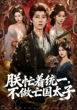 朕忙着统一,不做亡国太子海报