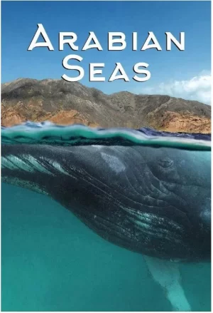 阿拉伯海第一季海报