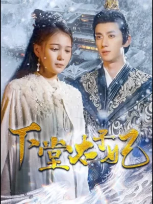 下堂太子妃海报