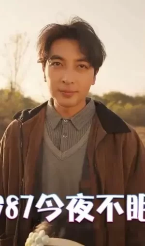 1987今夜不眠海报