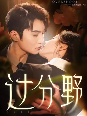 过分野海报
