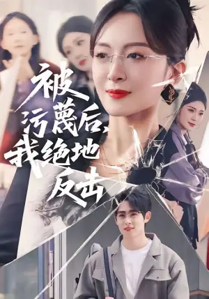被污蔑后,我绝地反击海报