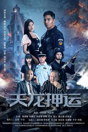 天龙押运海报
