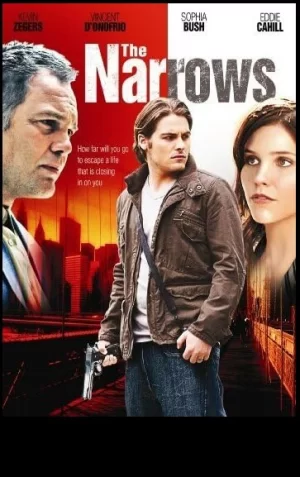 纽约湾海峡海报