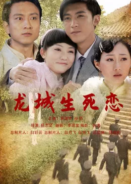 龙城生死恋海报