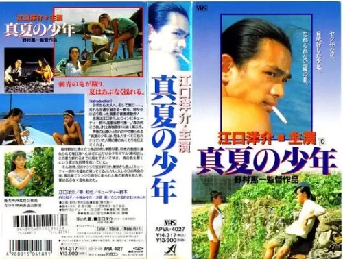 真夏的少年海报