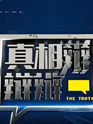 真相辩辩辩海报