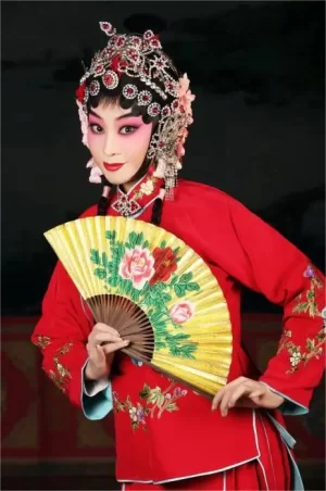 青春戏苑2016海报