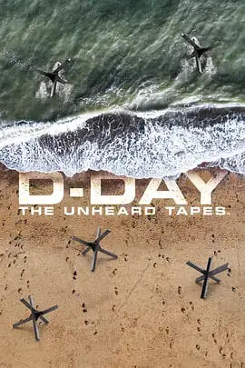 D日:未公开的录音带海报
