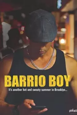 巴里奥男孩海报