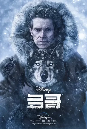 多哥[影视解说]海报