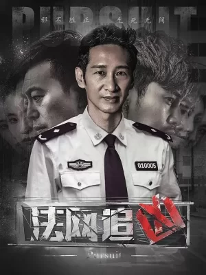 法网追凶海报