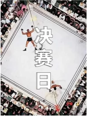决赛日海报