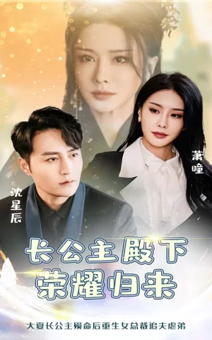 长公主殿下荣耀归来海报