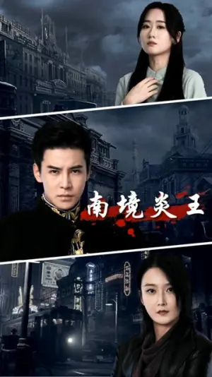 南境炎王海报