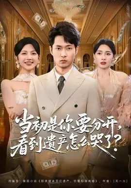 当初是你要分开,看到遗产怎么哭了?海报